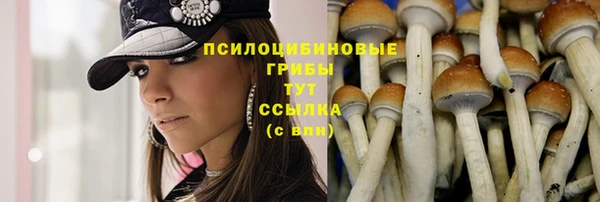 гашишное масло Бугульма