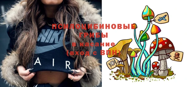 MDMA Бородино